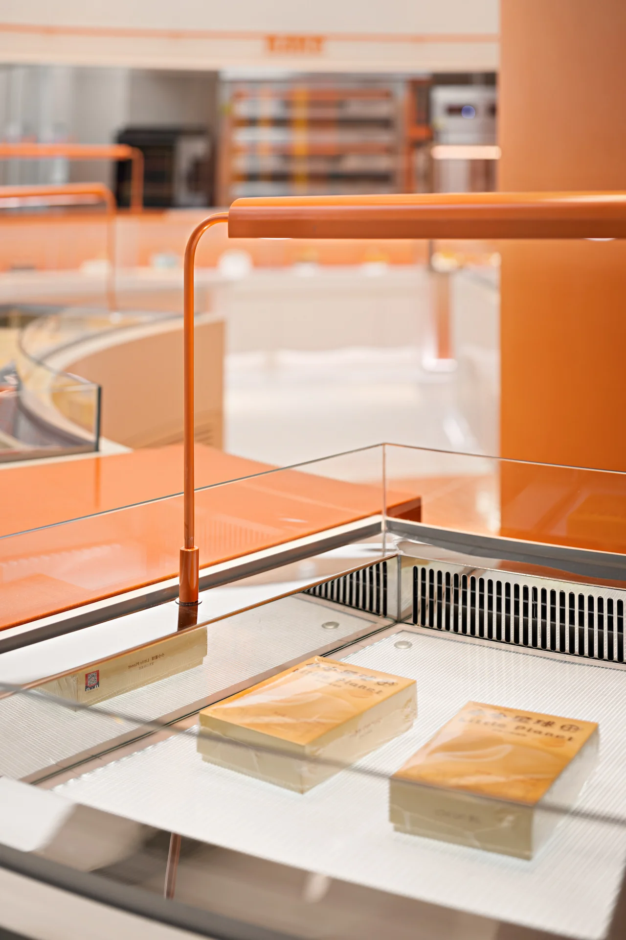 Custom Light Panel Application for Refrigerated Food Display Cabinets