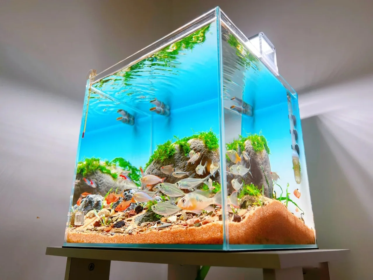 Backlighting Application for Home Aquariums