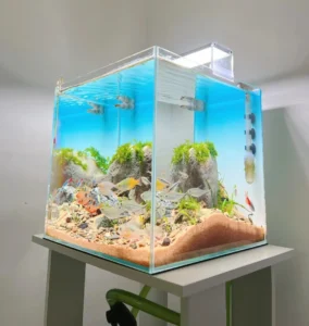 Backlighting Application for Home Aquariums