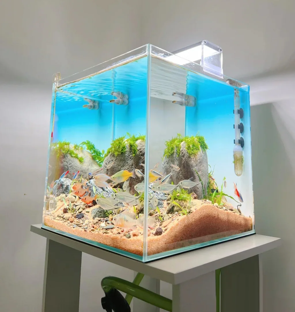 Backlighting Application for Home Aquariums
