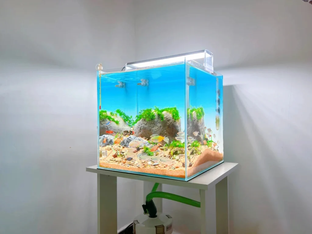 Backlighting Application for Home Aquariums