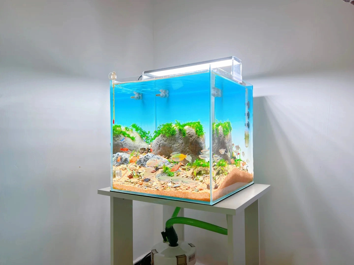 Backlighting Application for Home Aquariums