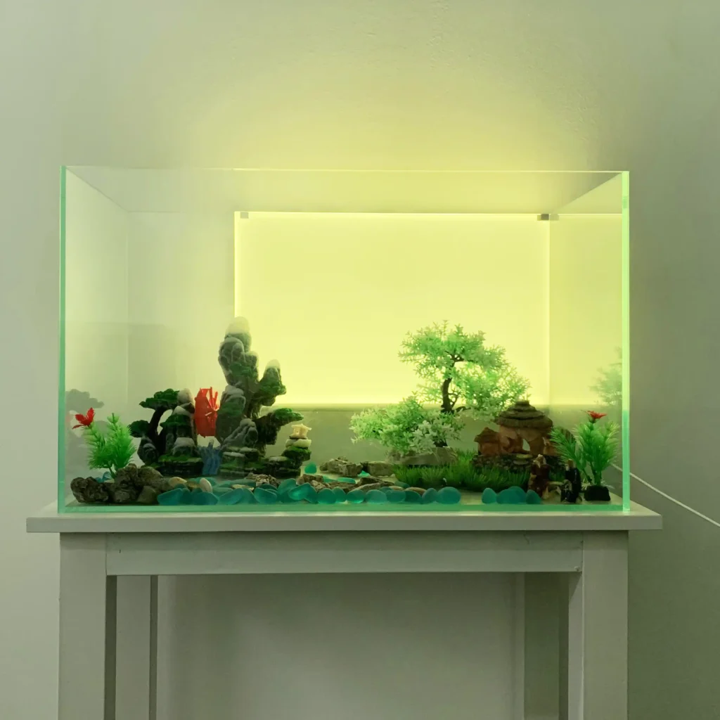 Aquarium Backlighting Solutions